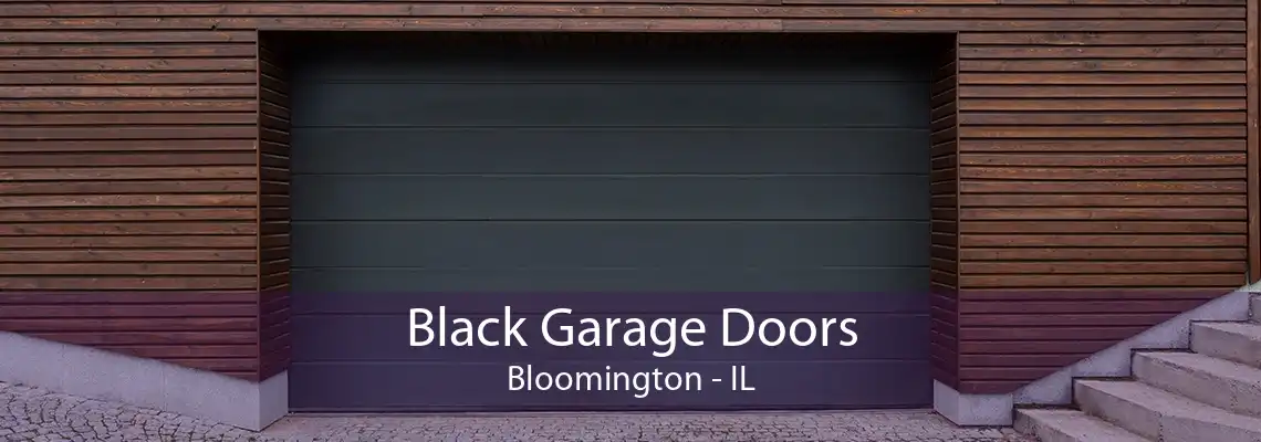 Black Garage Doors Bloomington - IL