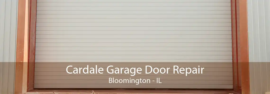 Cardale Garage Door Repair Bloomington - IL