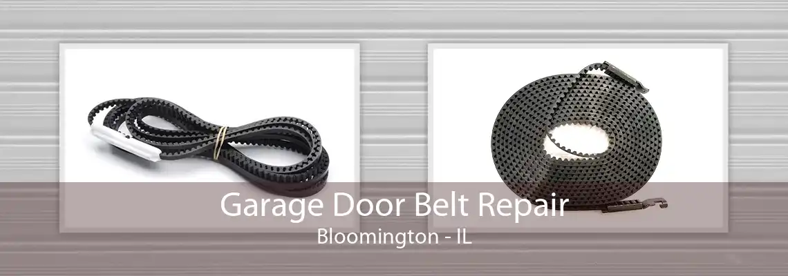 Garage Door Belt Repair Bloomington - IL