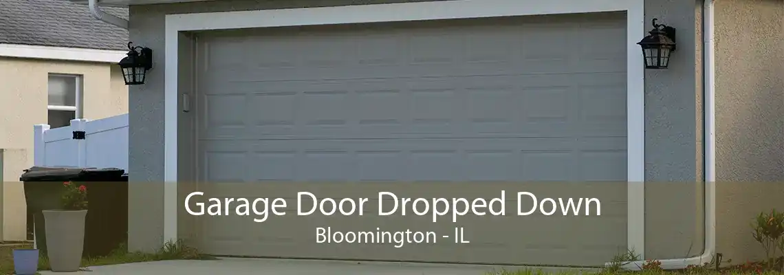 Garage Door Dropped Down Bloomington - IL