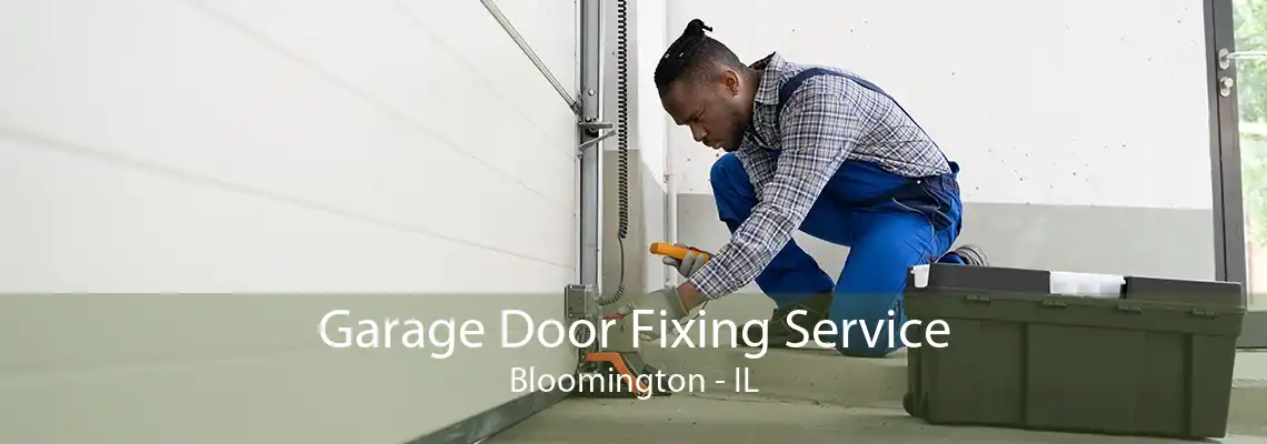 Garage Door Fixing Service Bloomington - IL