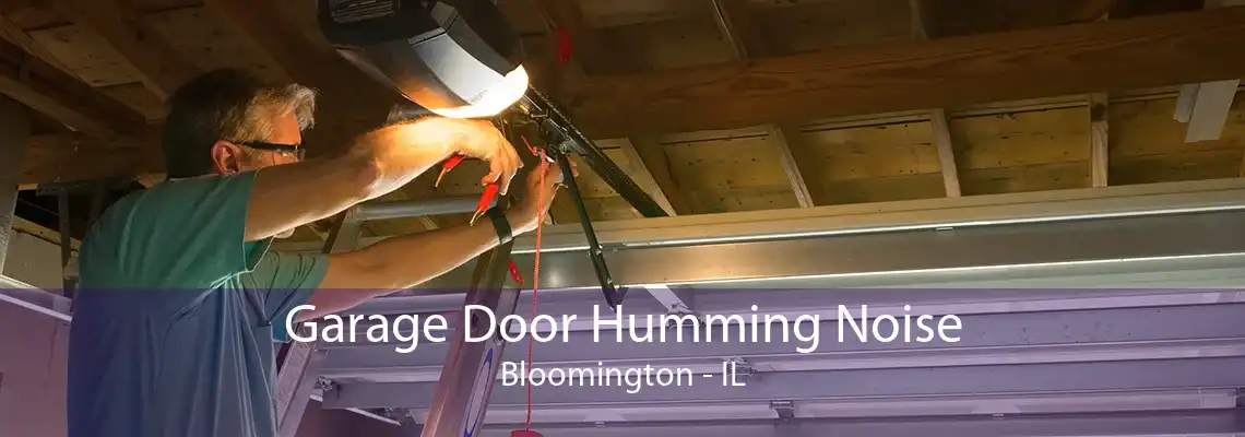 Garage Door Humming Noise Bloomington - IL