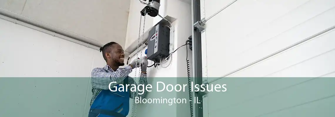 Garage Door Issues Bloomington - IL