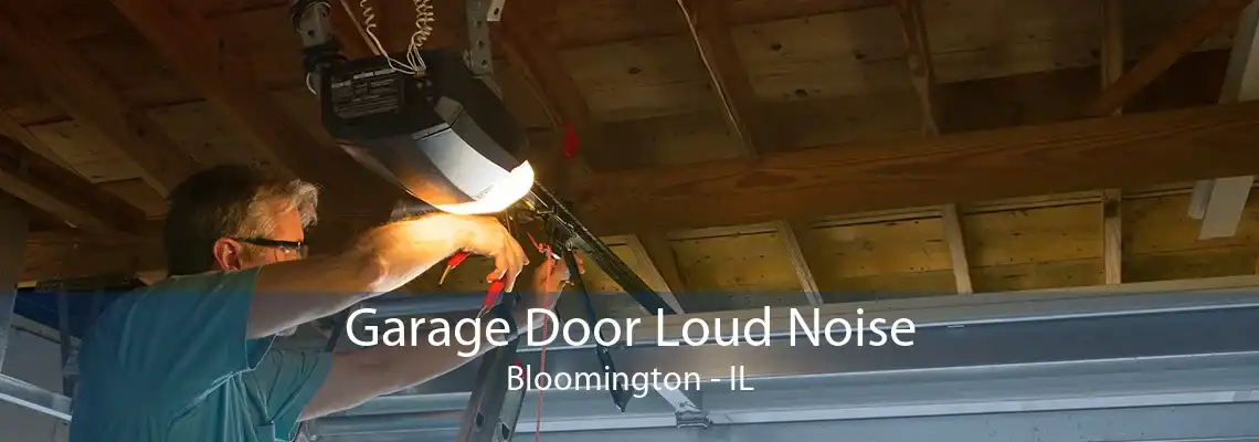 Garage Door Loud Noise Bloomington - IL