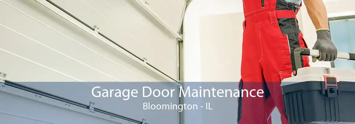 Garage Door Maintenance Bloomington - IL