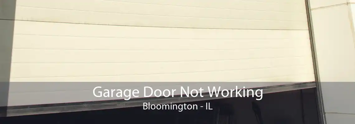 Garage Door Not Working Bloomington - IL