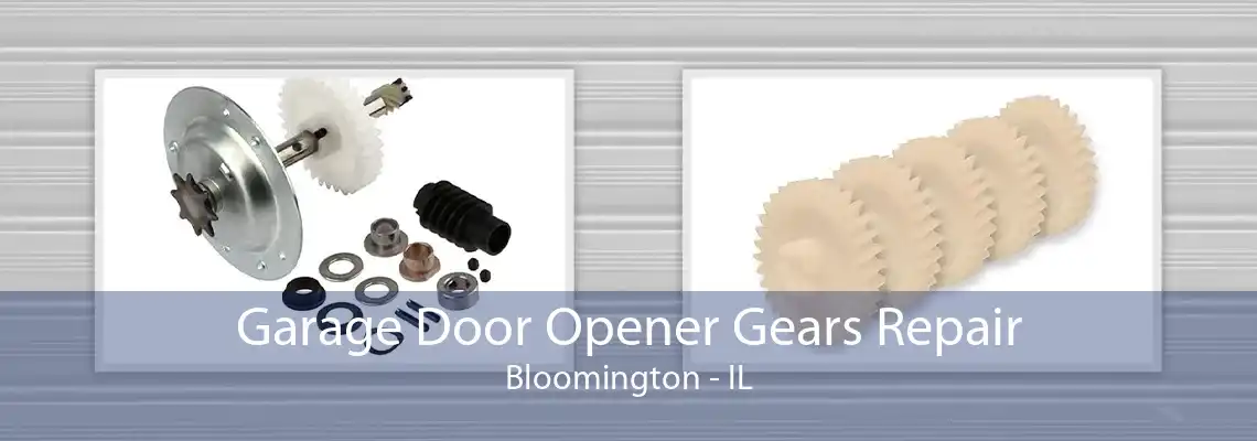 Garage Door Opener Gears Repair Bloomington - IL