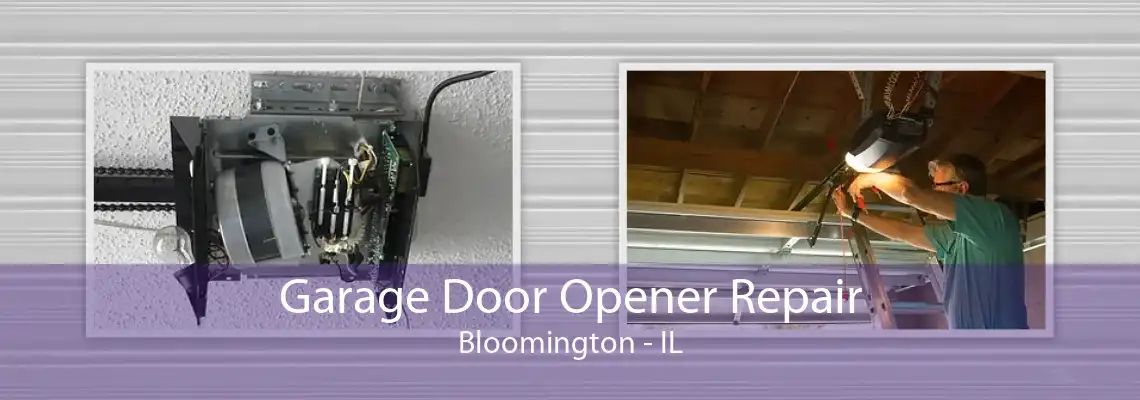 Garage Door Opener Repair Bloomington - IL