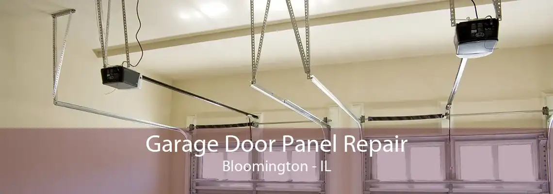 Garage Door Panel Repair Bloomington - IL