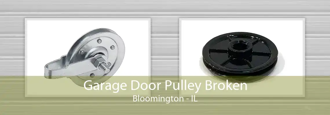 Garage Door Pulley Broken Bloomington - IL