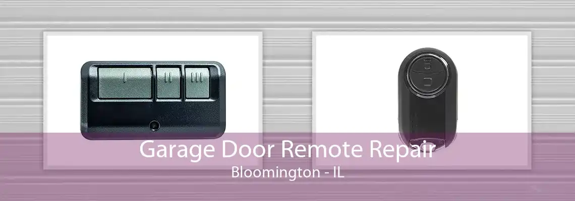 Garage Door Remote Repair Bloomington - IL