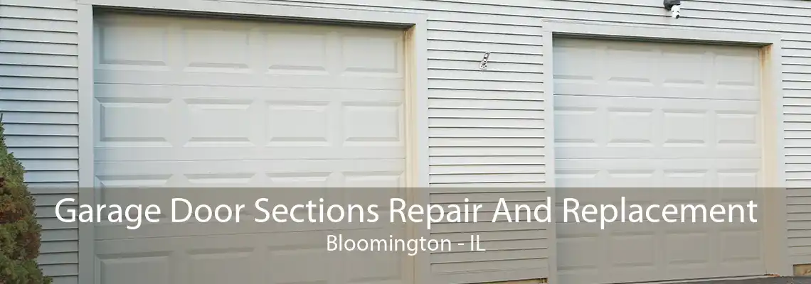 Garage Door Sections Repair And Replacement Bloomington - IL