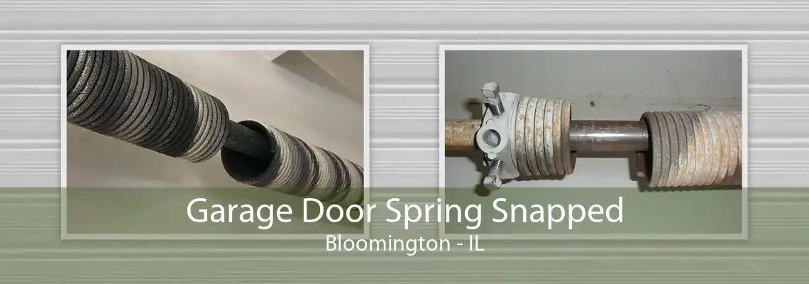 Garage Door Spring Snapped Bloomington - IL