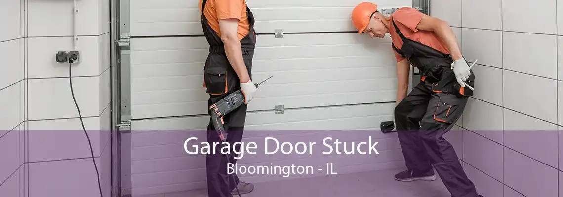 Garage Door Stuck Bloomington - IL