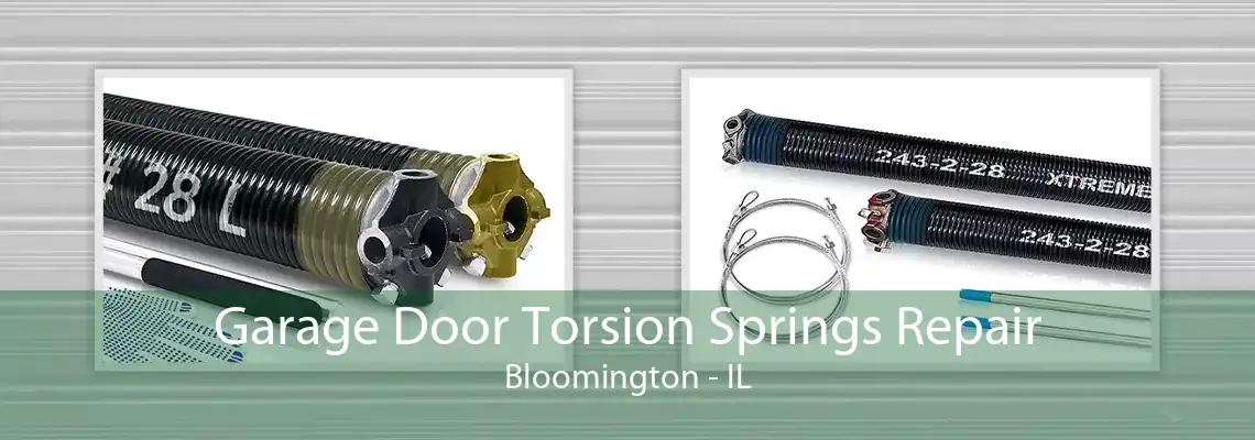 Garage Door Torsion Springs Repair Bloomington - IL