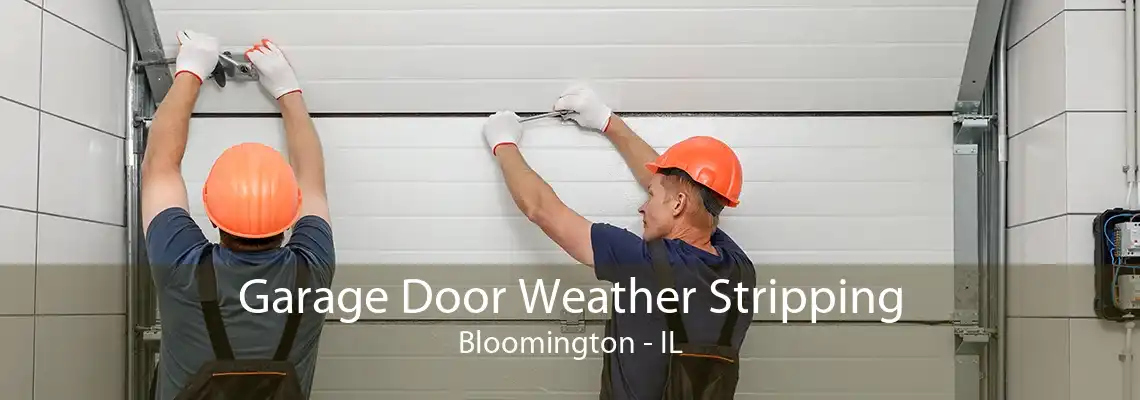 Garage Door Weather Stripping Bloomington - IL