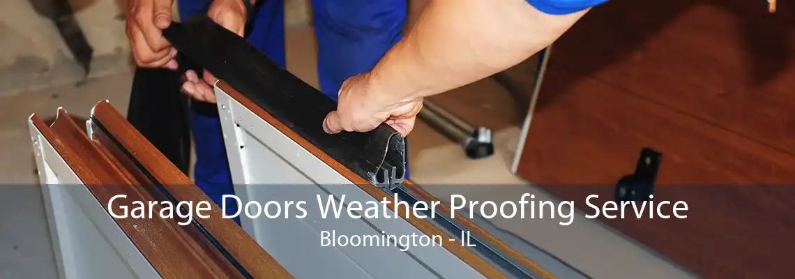 Garage Doors Weather Proofing Service Bloomington - IL