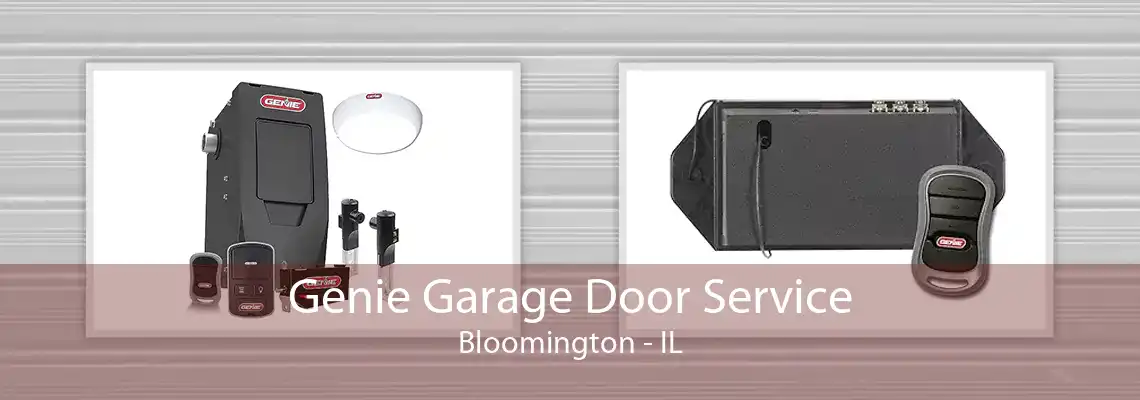 Genie Garage Door Service Bloomington - IL