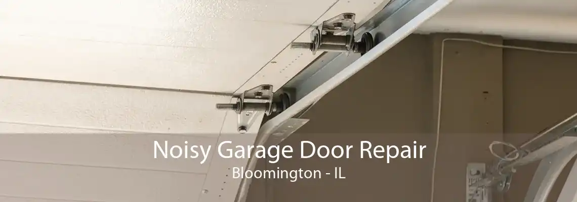 Noisy Garage Door Repair Bloomington - IL