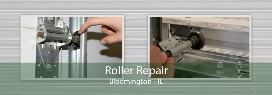 Roller Repair Bloomington - IL