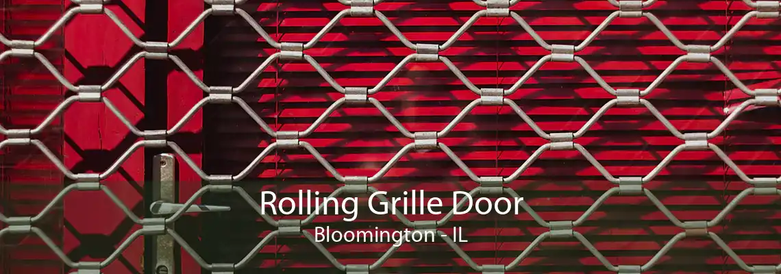 Rolling Grille Door Bloomington - IL