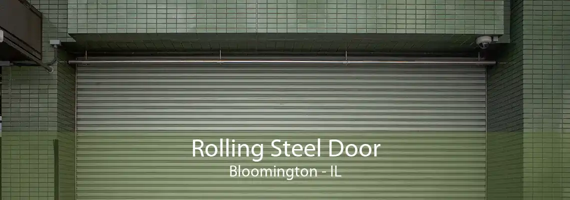 Rolling Steel Door Bloomington - IL