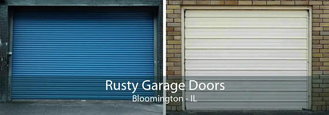 Rusty Garage Doors Bloomington - IL