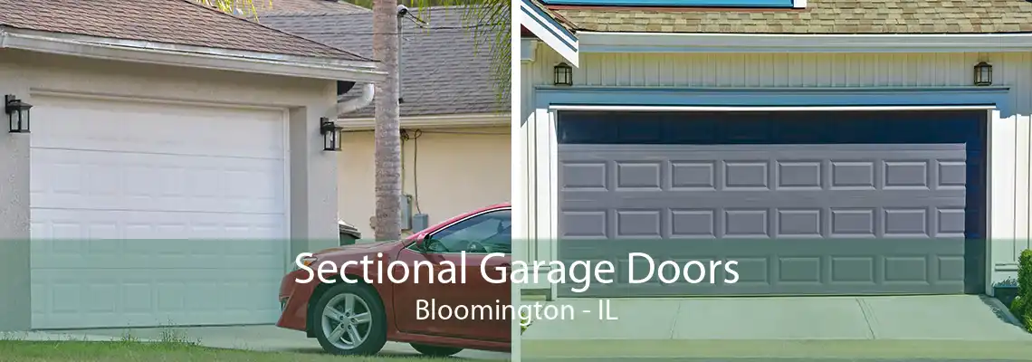 Sectional Garage Doors Bloomington - IL